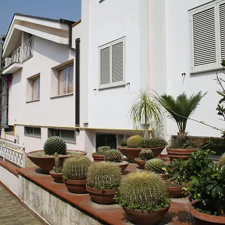 Leucosya Marina Di Casal Velino